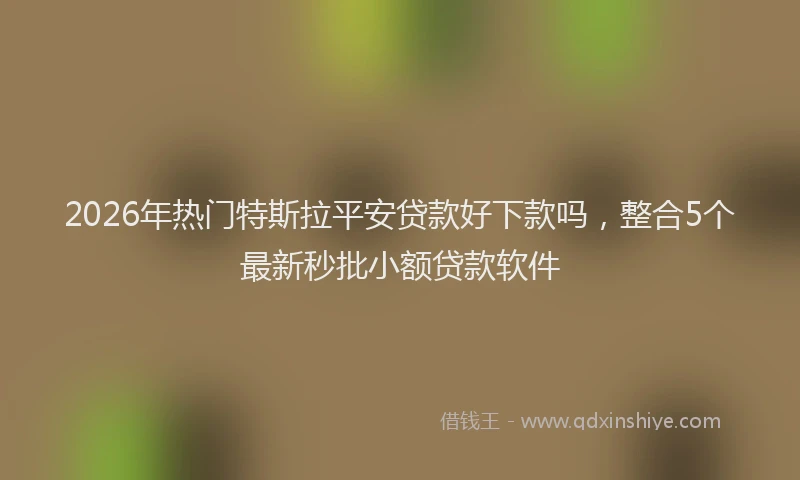 2026年热门特斯拉平安贷款好下款吗，整合5个最新秒批小额贷款软件