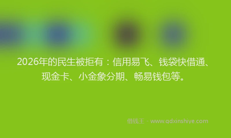 2026年的民生被拒有：信用易飞、钱袋快借通、现金卡、小金象分期、畅易钱包等。
