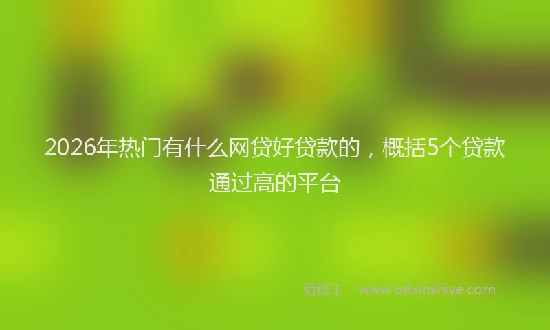 2026年热门有什么网贷好贷款的，概括5个贷款通过高的平台