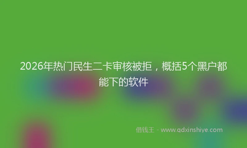 2026年热门民生二卡审核被拒，概括5个黑户都能下的软件