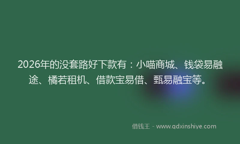2026年的没套路好下款有：小喵商城、钱袋易融途、橘若租机、借款宝易借、甄易融宝等。