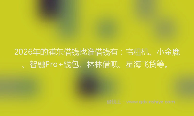 2026年的浦东借钱找谁借钱有：宅租机、小金鹿、智融Pro+钱包、林林借呗、星海飞贷等。