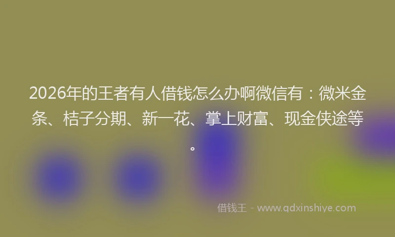 2026年的王者有人借钱怎么办啊微信有：微米金条、桔子分期、新一花、掌上财富、现金侠途等。