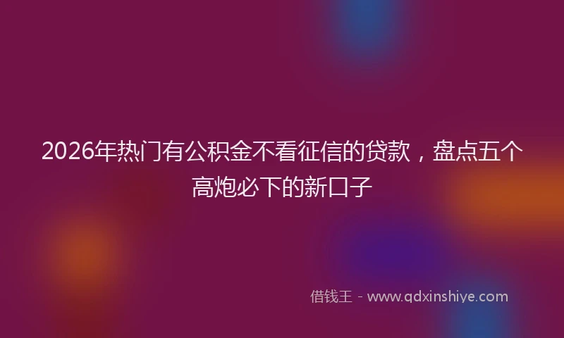 2026年热门有公积金不看征信的贷款,盘点五个高炮必下的新口子