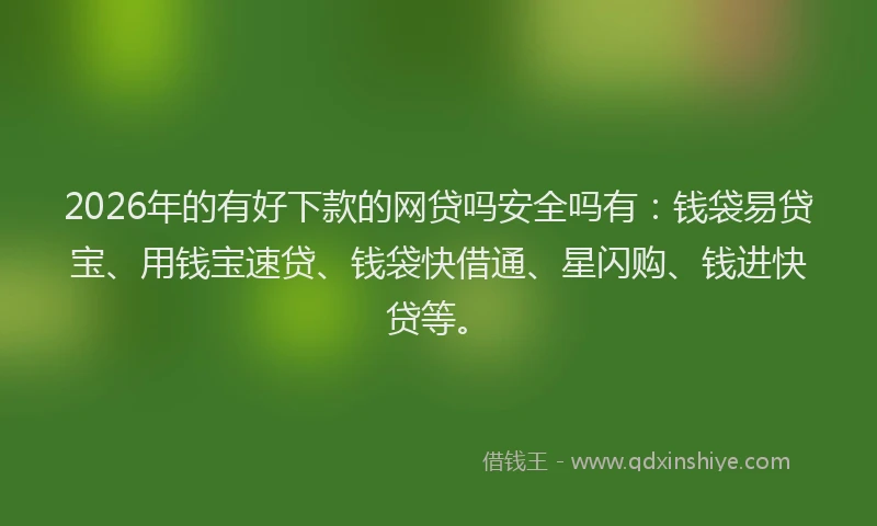 2026年的有好下款的网贷吗安全吗有：钱袋易贷宝、用钱宝速贷、钱袋快借通、星闪购、钱进快贷等。