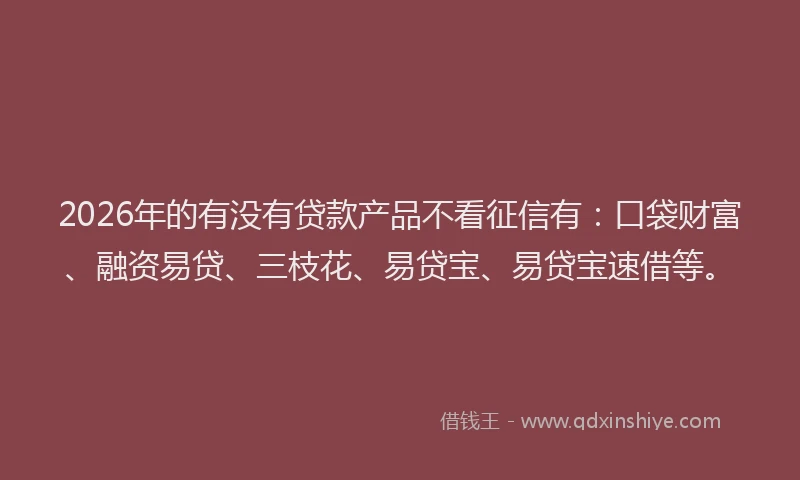 2026年的有没有贷款产品不看征信有：口袋财富、融资易贷、三枝花、易贷宝、易贷宝速借等。
