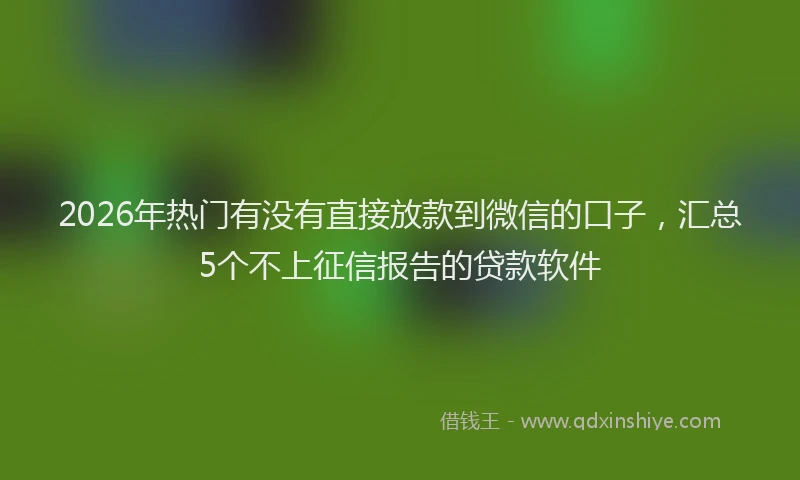 2026年热门有没有直接放款到微信的口子，汇总5个不上征信报告的贷款软件