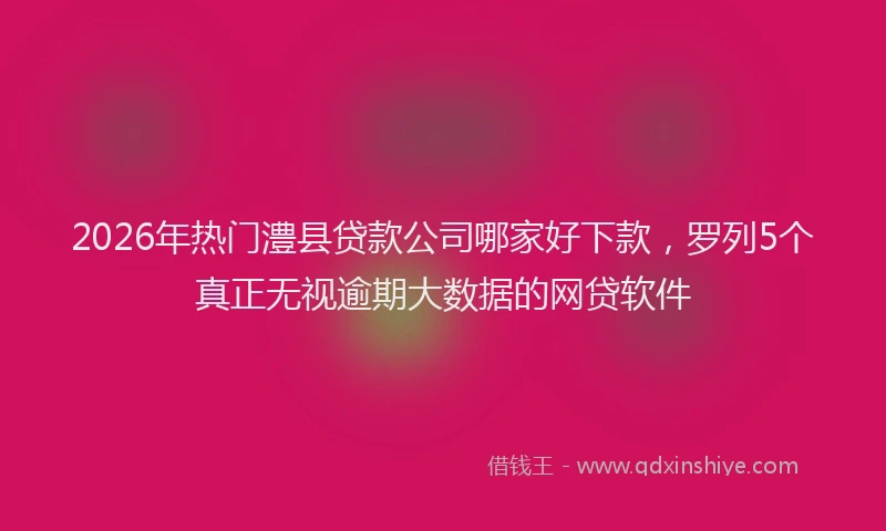 2026年热门澧县贷款公司哪家好下款，罗列5个真正无视逾期大数据的网贷软件