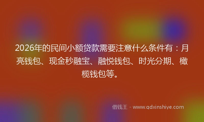 2026年的民间小额贷款需要注意什么条件有：月亮钱包、现金秒融宝、融悦钱包、时光分期、橄榄钱包等。
