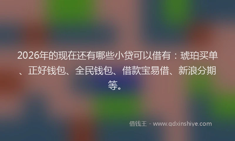 2026年的现在还有哪些小贷可以借有：琥珀买单、正好钱包、全民钱包、借款宝易借、新浪分期等。