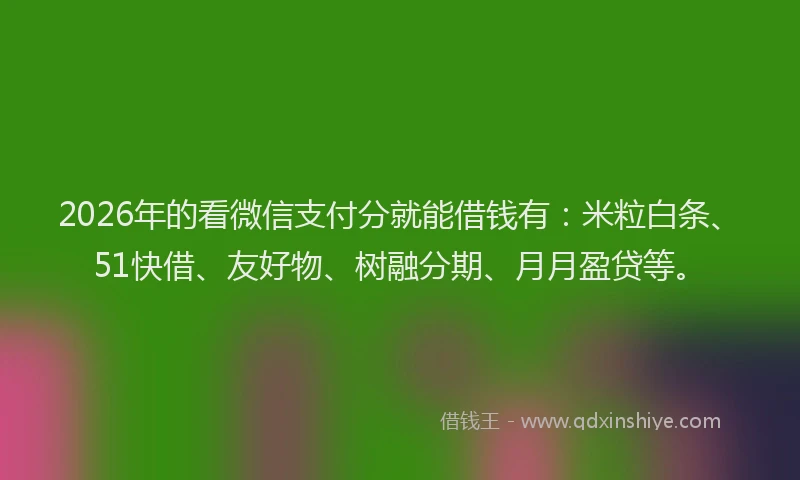 2026年的看微信支付分就能借钱有:米粒白条、51快借、友好物、树融分期、月月盈贷等。