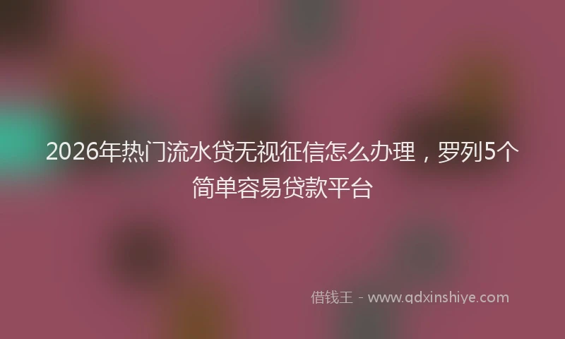 2026年热门流水贷无视征信怎么办理，罗列5个简单容易贷款平台