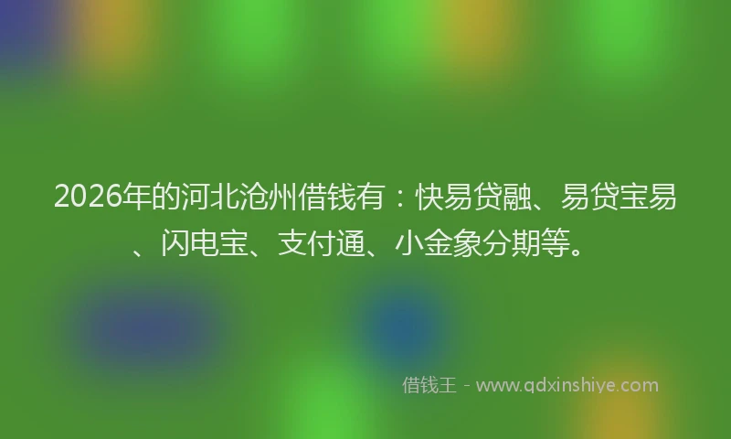 2026年的河北沧州借钱有：快易贷融、易贷宝易、闪电宝、支付通、小金象分期等。