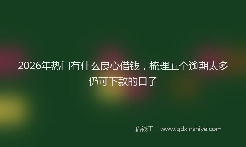 2026年热门有什么良心借钱，梳理五个逾期太多仍可下款的口子