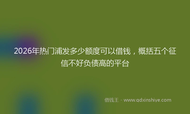 2026年热门浦发多少额度可以借钱,概括五个征信不好负债高的平台