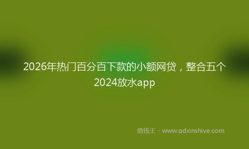 2026年热门百分百下款的小额网贷，整合五个2024放水app