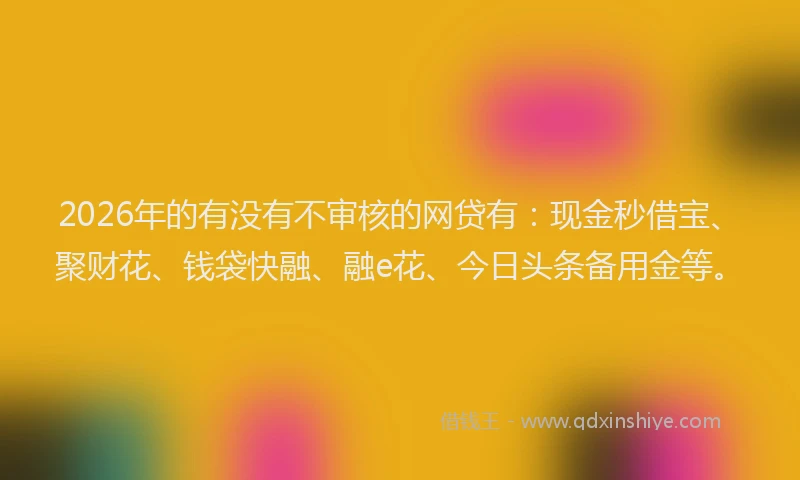 2026年的有没有不审核的网贷有：现金秒借宝、聚财花、钱袋快融、融e花、今日头条备用金等。