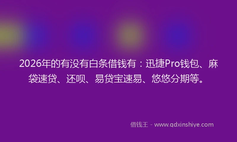 2026年的有没有白条借钱有：迅捷Pro钱包、麻袋速贷、还呗、易贷宝速易、悠悠分期等。