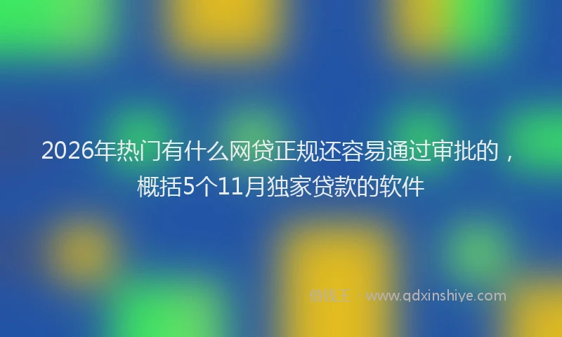 2026年热门有什么网贷正规还容易通过审批的，概括5个11月独家贷款的软件