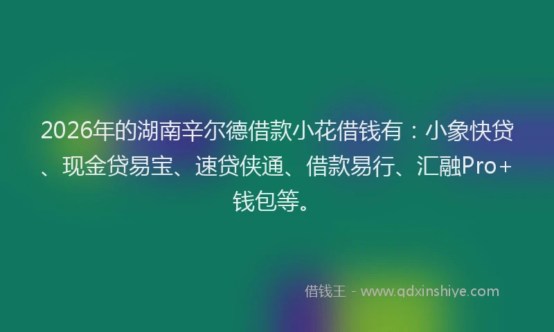 2026年的湖南辛尔德借款小花借钱有：小象快贷、现金贷易宝、速贷侠通、借款易行、汇融Pro+钱包等。
