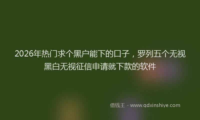 2026年热门求个黑户能下的口子,罗列五个无视黑白无视征信申请就下款的软件