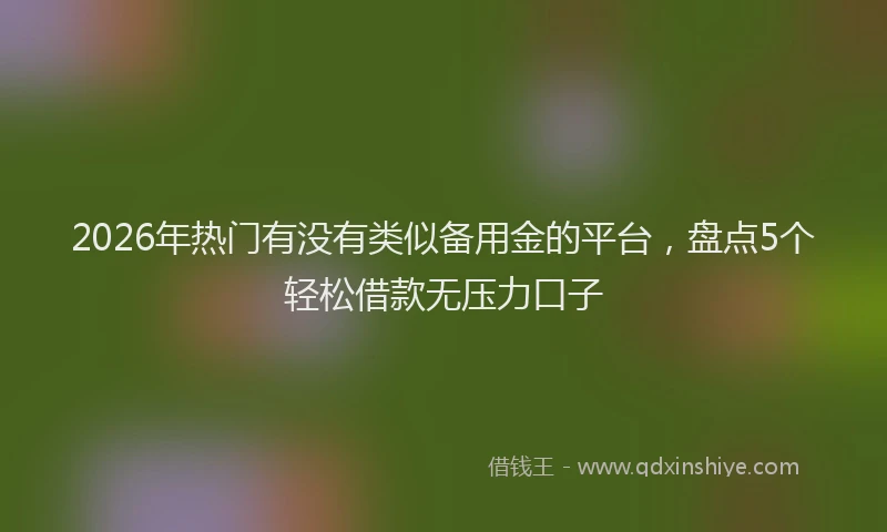 2026年热门有没有类似备用金的平台，盘点5个轻松借款无压力口子