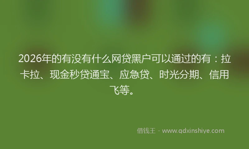 2026年的有没有什么网贷黑户可以通过的有：拉卡拉、现金秒贷通宝、应急贷、时光分期、信用飞等。