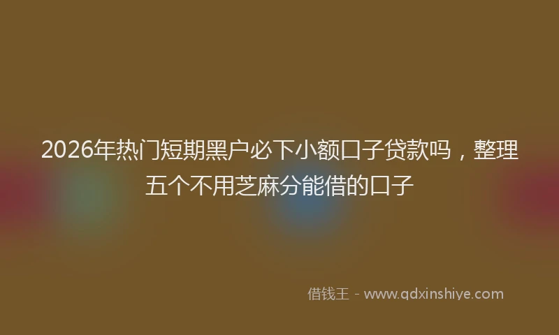 2026年热门短期黑户必下小额口子贷款吗，整理五个不用芝麻分能借的口子