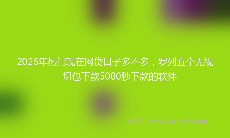 2026年热门现在网贷口子多不多，罗列五个无视一切包下款5000秒下款的软件