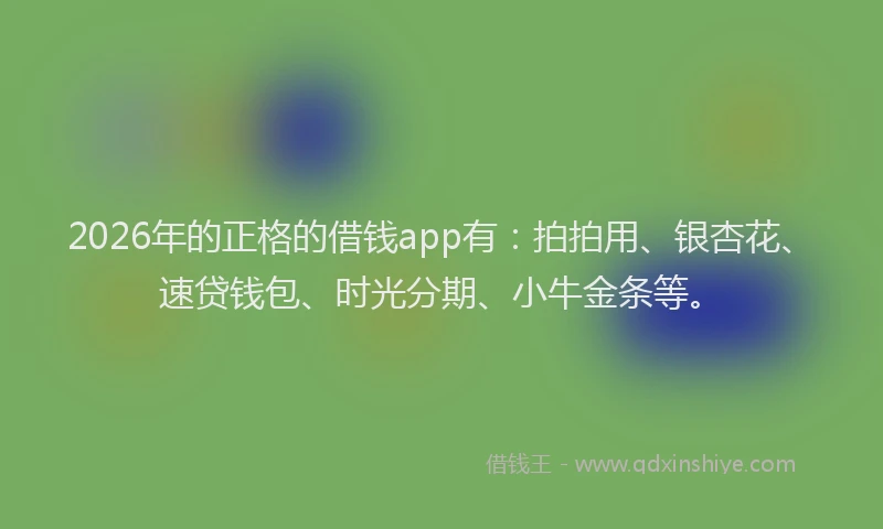 2026年的正格的借钱app有:拍拍用、银杏花、速贷钱包、时光分期、小牛金条等。