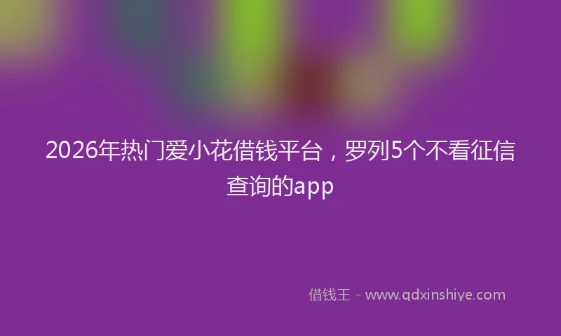 2026年热门爱小花借钱平台，罗列5个不看征信查询的app