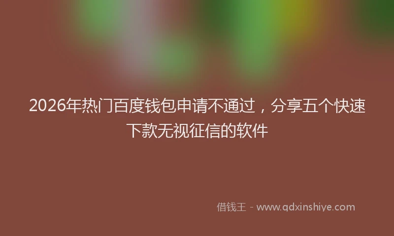 2026年热门百度钱包申请不通过,分享五个快速下款无视征信的软件