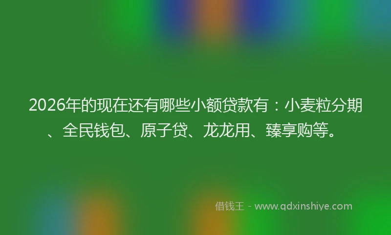 2026年的现在还有哪些小额贷款有：小麦粒分期、全民钱包、原子贷、龙龙用、臻享购等。