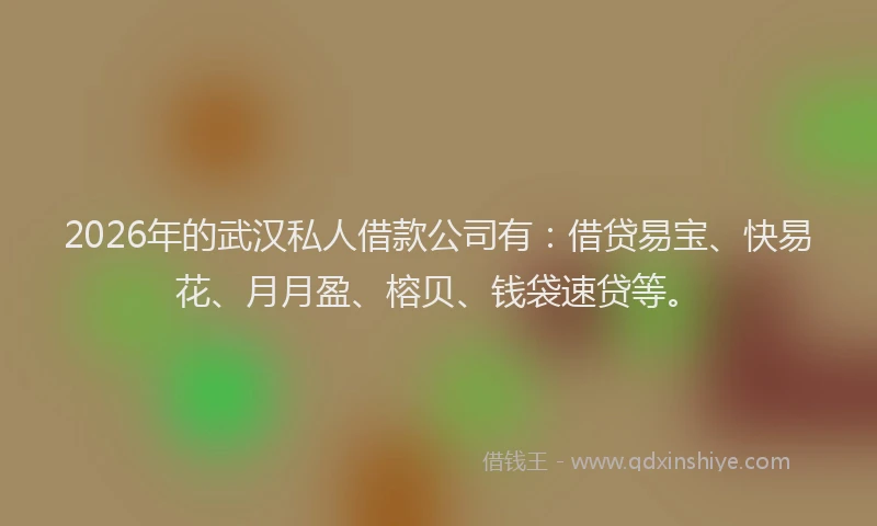 2026年的武汉私人借款公司有：借贷易宝、快易花、月月盈、榕贝、钱袋速贷等。