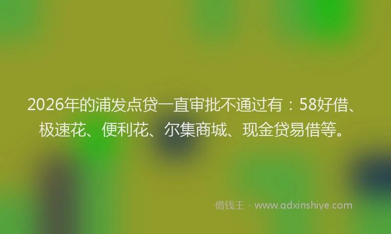 2026年的浦发点贷一直审批不通过有：58好借、极速花、便利花、尔集商城、现金贷易借等。