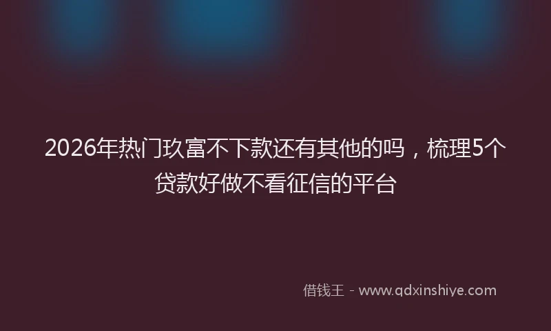 2026年热门玖富不下款还有其他的吗，梳理5个贷款好做不看征信的平台