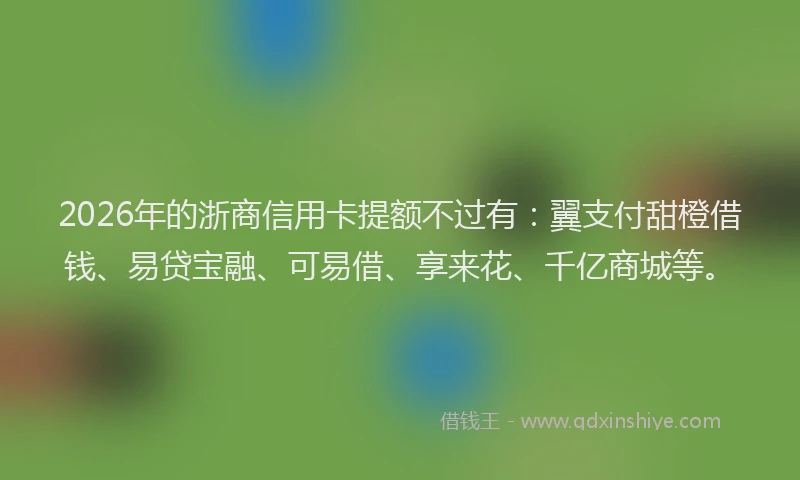 2026年的浙商信用卡提额不过有:翼支付甜橙借钱、易贷宝融、可易借、享来花、千亿商城等。