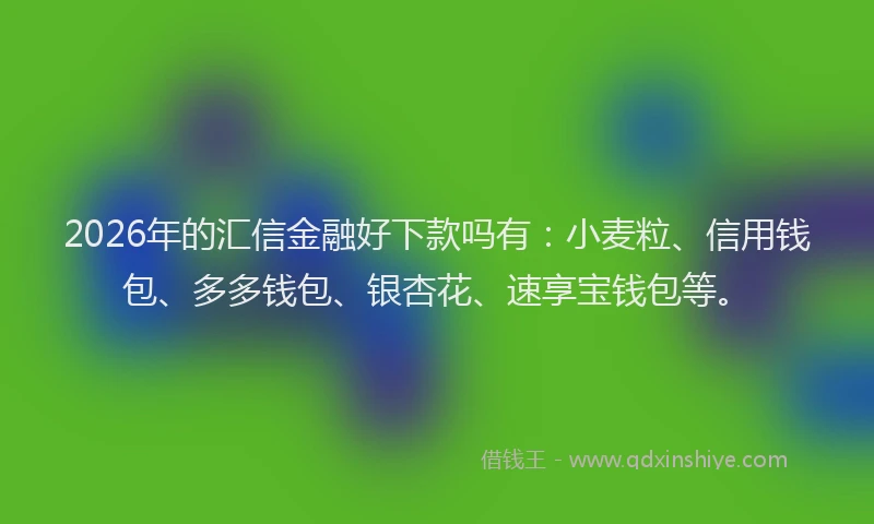 2026年的汇信金融好下款吗有：小麦粒、信用钱包、多多钱包、银杏花、速享宝钱包等。