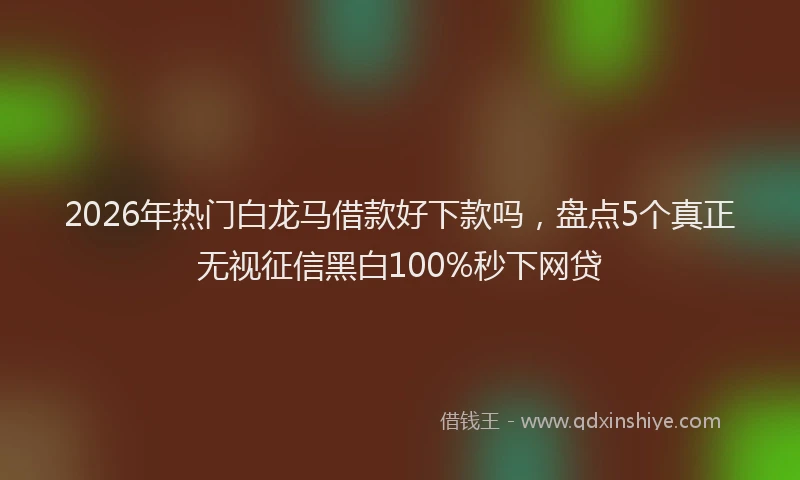 2026年热门白龙马借款好下款吗，盘点5个真正无视征信黑白100%秒下网贷