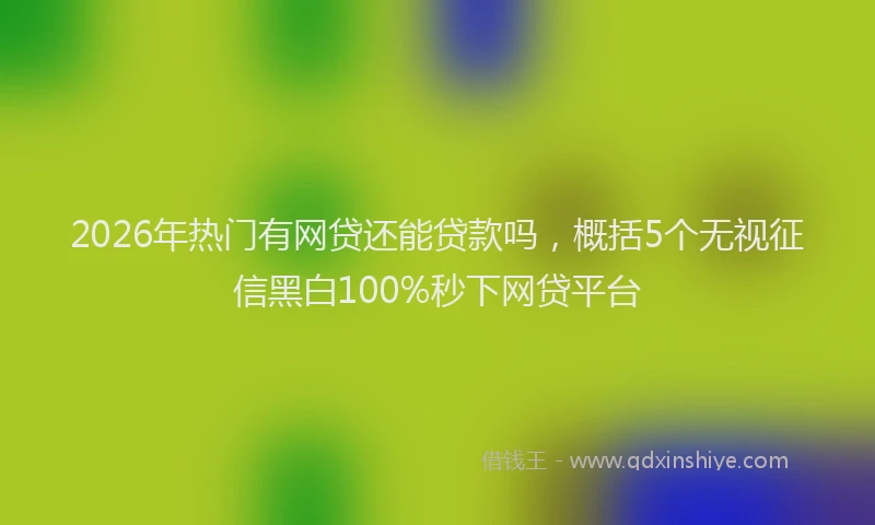 2026年热门有网贷还能贷款吗，概括5个无视征信黑白100%秒下网贷平台