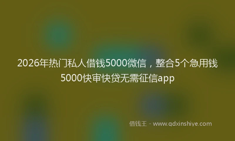2026年热门私人借钱5000微信，整合5个急用钱5000快审快贷无需征信app