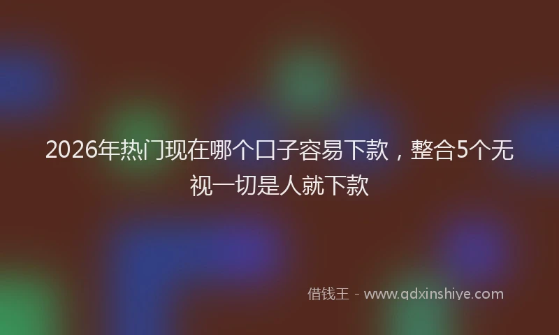 2026年热门现在哪个口子容易下款,整合5个无视一切是人就下款