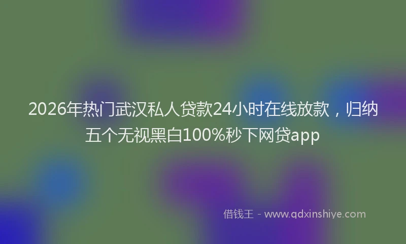 2026年热门武汉私人贷款24小时在线放款，归纳五个无视黑白100%秒下网贷app