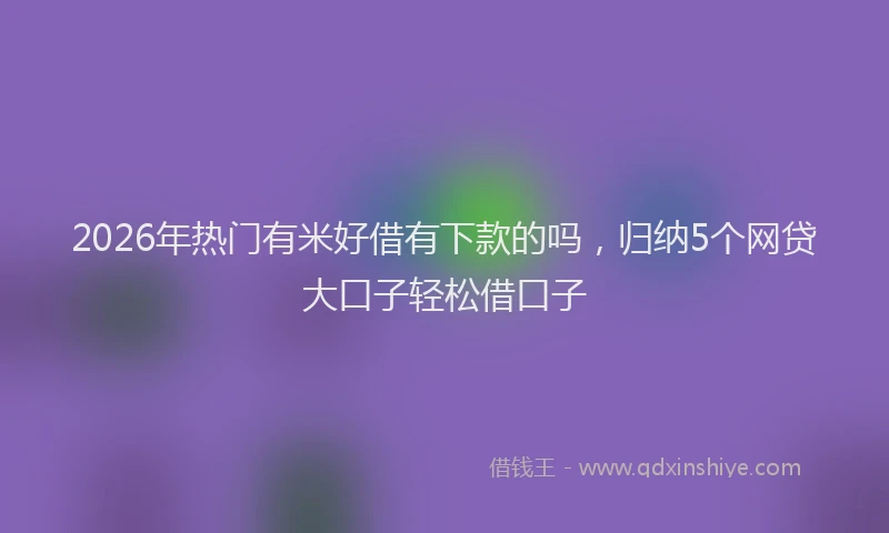 2026年热门有米好借有下款的吗，归纳5个网贷大口子轻松借口子
