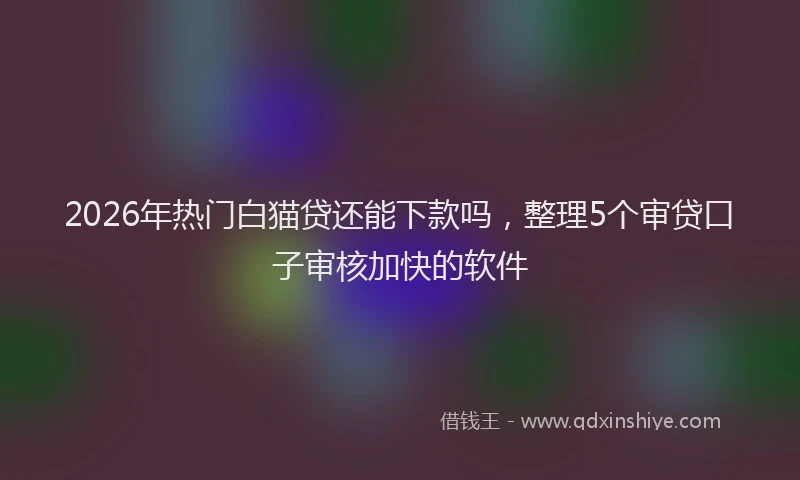 2026年热门白猫贷还能下款吗，整理5个审贷口子审核加快的软件