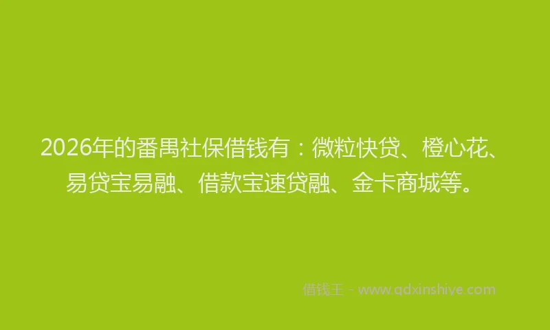2026年的番禺社保借钱有：微粒快贷、橙心花、易贷宝易融、借款宝速贷融、金卡商城等。