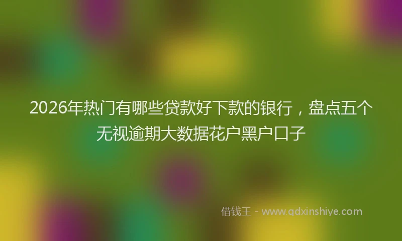 2026年热门有哪些贷款好下款的银行，盘点五个无视逾期大数据花户黑户口子