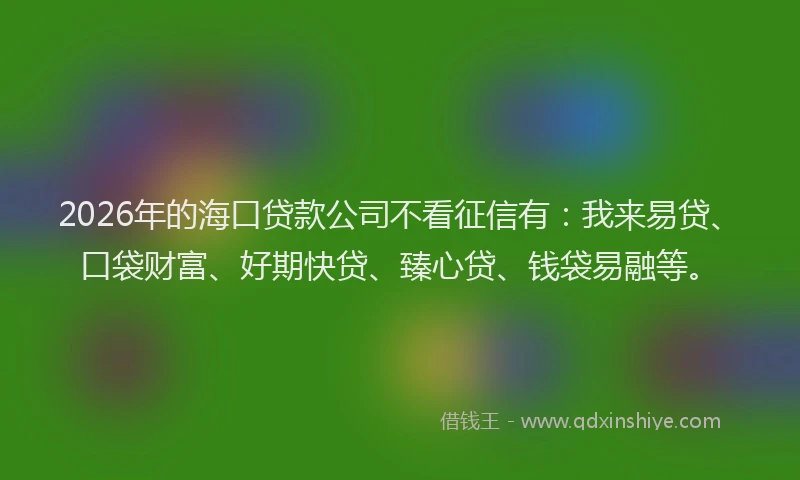2026年的海口贷款公司不看征信有：我来易贷、口袋财富、好期快贷、臻心贷、钱袋易融等。