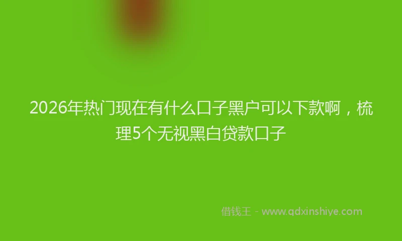 2026年热门现在有什么口子黑户可以下款啊，梳理5个无视黑白贷款口子