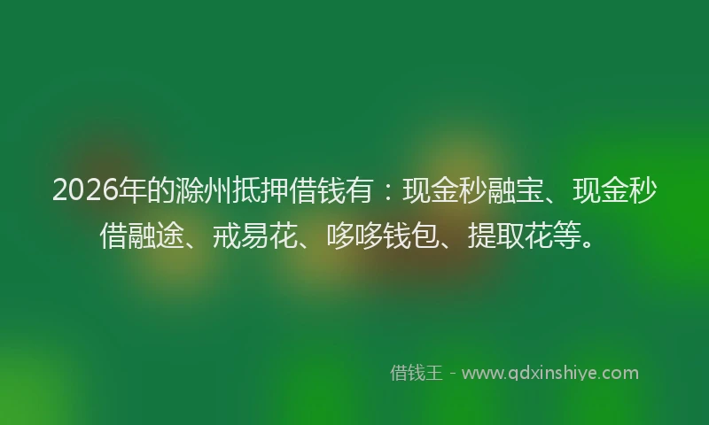 2026年的滁州抵押借钱有：现金秒融宝、现金秒借融途、戒易花、哆哆钱包、提取花等。